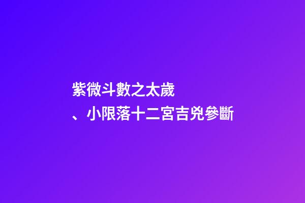 紫微斗數之太歲、小限落十二宮吉兇參斷